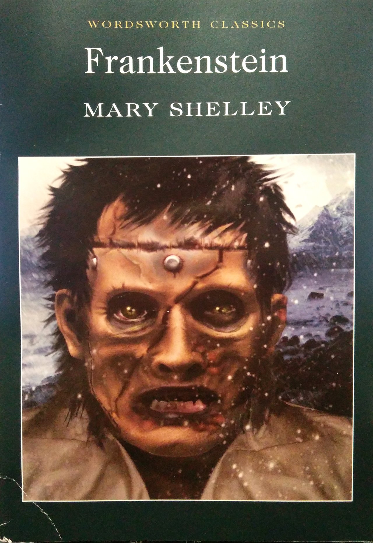 Автор франкенштейна. Frankenstein Mary Shelley книга. Франкенштейн обложка книги.